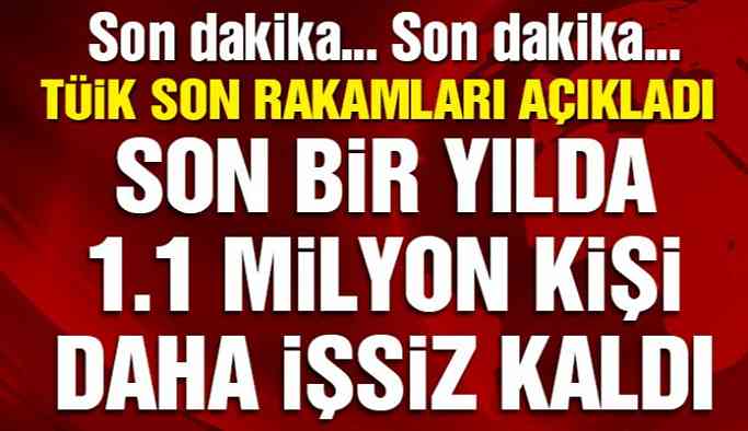 Son dakika: İşsizlik rakamları açıklandı! Bir yılda 1 milyon 116 bin kişi daha işsiz kaldı