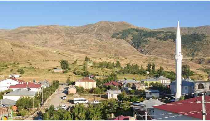 300 haneli köyde 20 kişiyi kene ısırdı