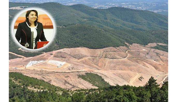 AKP'li vekil 'rahatlattı': Bugün bin 800 noktada ağaç kesiliyor, her şey kontrol altında!