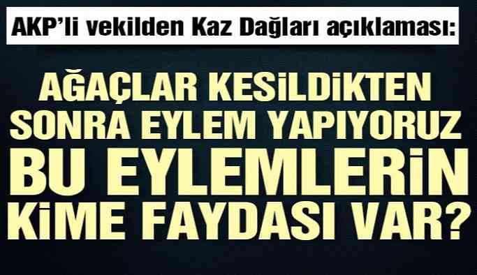 AKP’li vekilden Kaz Dağları açıklaması: Ağaçlar kesildikten sonra eylem yapıyoruz, bu eylemlerin kime faydası var?