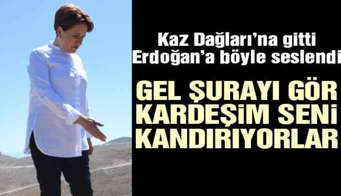 Akşener’den Erdoğan’a Kaz Dağları çağrısı: Gel kardeşim şurayı gör seni kandırıyorlar