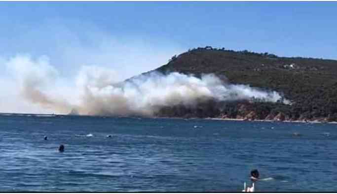 Burgazada'da yangın