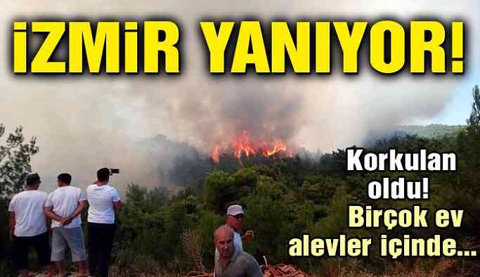 İzmir'de yangın köylere sıçradı