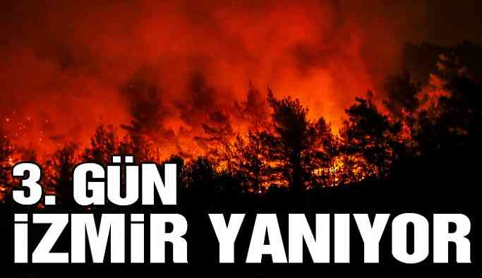 İzmir’deki yangında son durum
