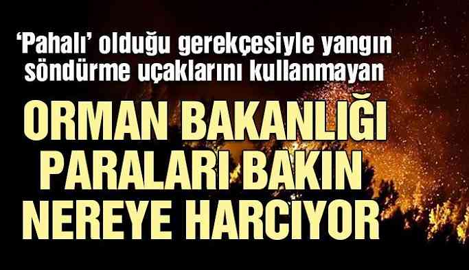 Orman Bakanlığı paraları bunlara harcıyor