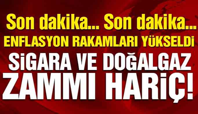 Son dakika… Enflasyon rakamları açıklandı