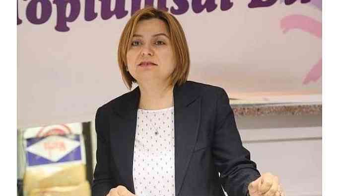 Koçyiğit: HDP çözümün adresidir