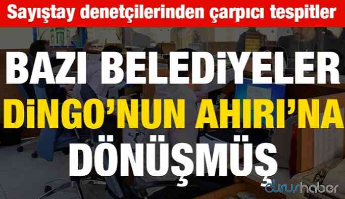 Sayıştay denetçilerinden çarpıcı tespitler! Belediyeler Dingo’nun Ahırı’na dönmüş
