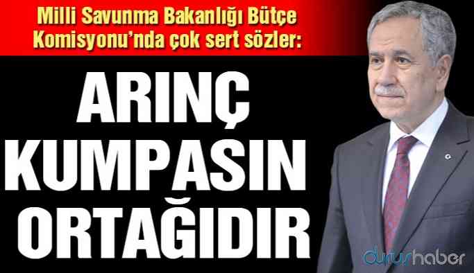 Çıray’dan Arınç’a sert sözler: Kozmik Oda kumpasının ortağı