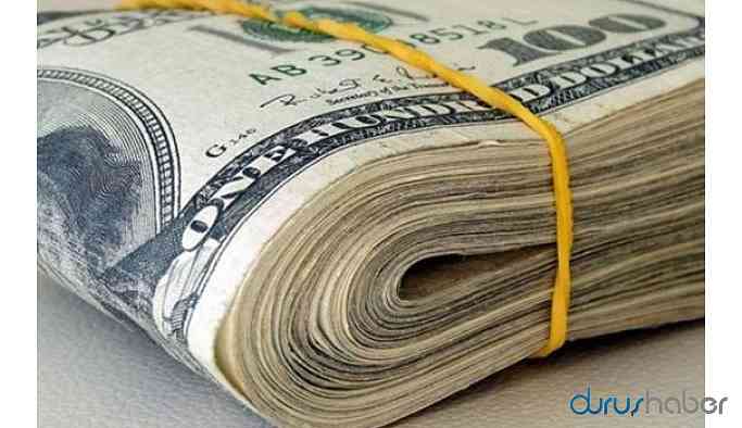 Dolar son iki ayın en yüksek seviyesini gördü