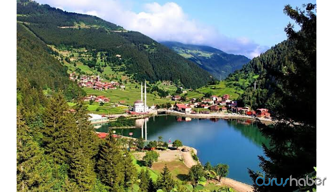 Uzungöl'de 'kaçak yapı' gerginliği: Çok sayıda gözaltı