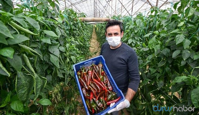 İBB çiftçinin satamadığı ürünü alacak