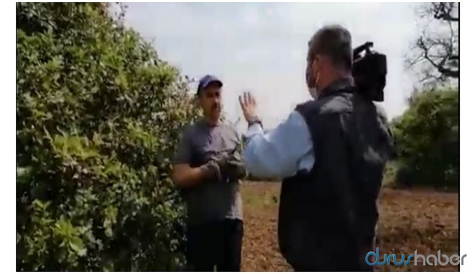 İBB'nin tepki gösterdiği 'limon'lu kurmaca haberin detayları ortaya çıktı