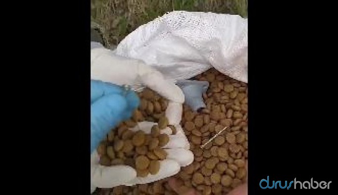 MNG Kargo'nun taşırken çuvala aktardığı köpek mamasının içinden çivi ve vida çıktı
