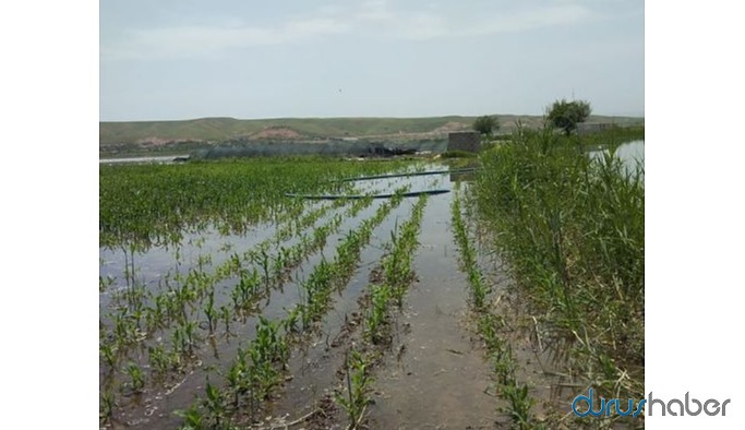 Bugün açılışı yapılan baraj arazileri sular altında bıraktı!