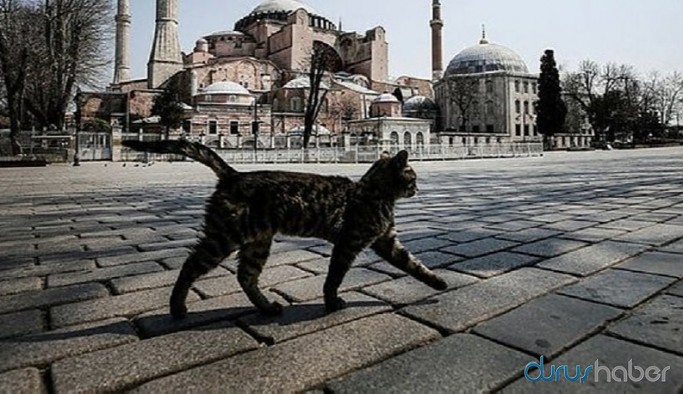 İçişleri Bakanlığı 15 ilde sokağa çıkma yasağının uygulanacağını duyurdu