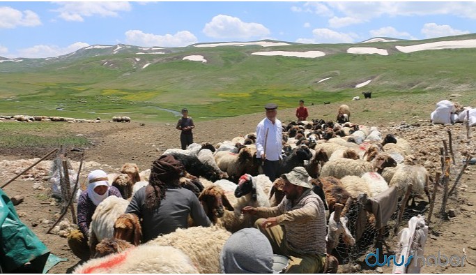 Koçerler Hakkari yaylalarına ulaştı