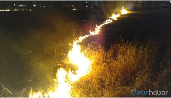 Newroz Parkı yakınlarında anız yangını çıktı