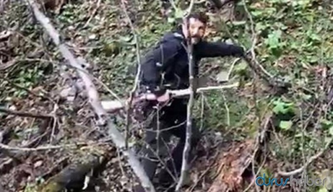 Yavru ayıyı vuran ve köpeklerine işkence yaptıran avcı serbest bırakıldı
