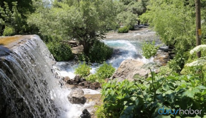 Munzur Gözeleri için imza kampanyası