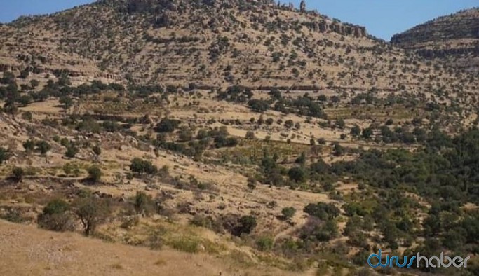 Sokağa çıkma yasağı ilan edilen Mardin'de çatışma