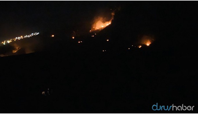 Cudi Dağı'nda 3 noktada yangın