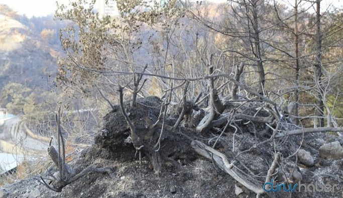 Hatay'daki orman yangını 33 saat sonra söndürüldü