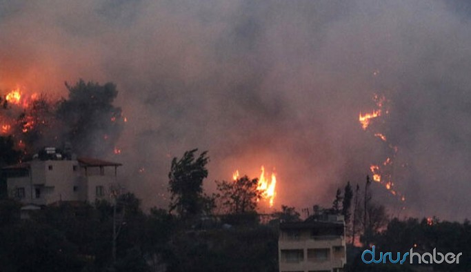 Soylu'dan Hatay'daki yangına ilişkin açıklama: 2 kişi gözaltında