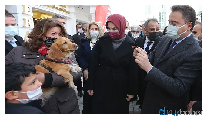 Babacan: Sayın Erdoğan biraz yavaş, Pelikan kaza yapıyor