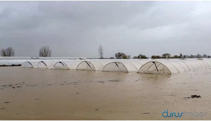 Sel nedeniyle Antalya’da 9 bin dekar ekili alana zarar gördü