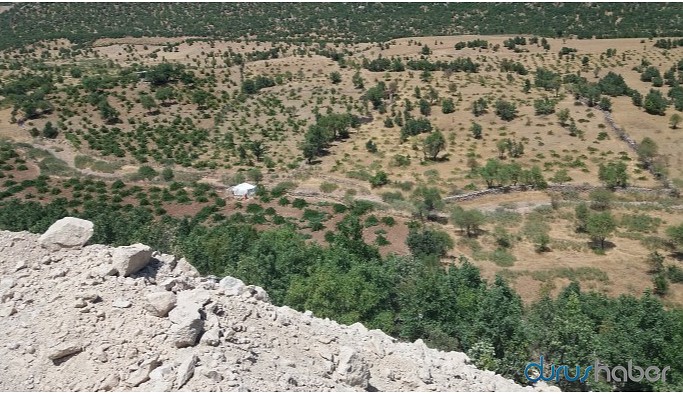 Maden faaliyeti bağ ve bahçeleri kuruttu