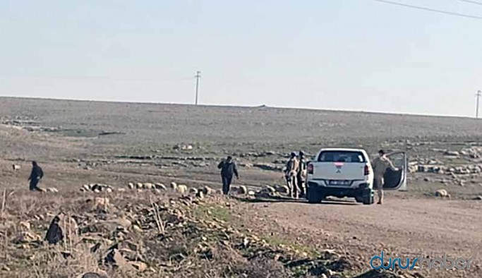 Otlatma yasağı: Asker zoruyla hayvanlar toplanıyor, sahiplerine ceza makbuzu kesiliyor