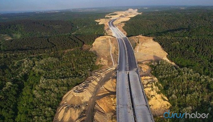 Üç aylık Kuzey Ormanları izleme raporu: 11 ilin 10'unda tehdit - tahrip - savunma