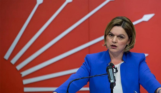 CHP'li Selin Sayek Böke'den, Bakan Lütfi Elvan'a Berat Albayrak soruları
