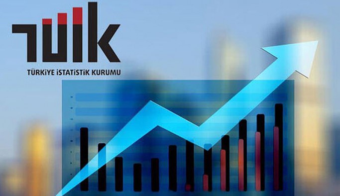 Erdoğan, TÜİK Başkanlığına Sait Erdal Dinçer'i atadı