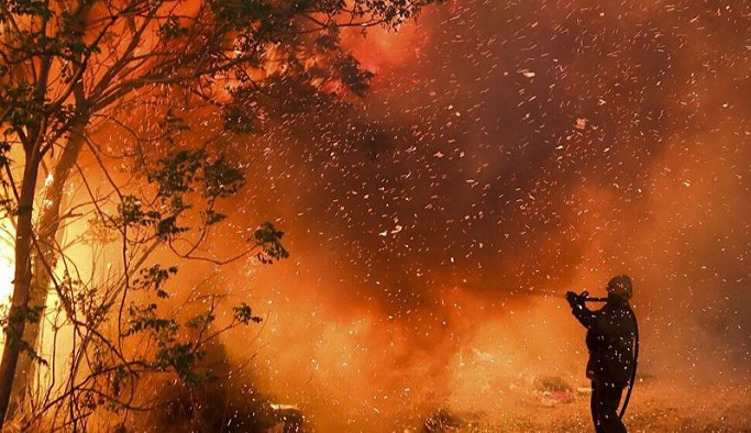 Meksika'da orman yangınları: 400'den fazla kişi tahliye edildi