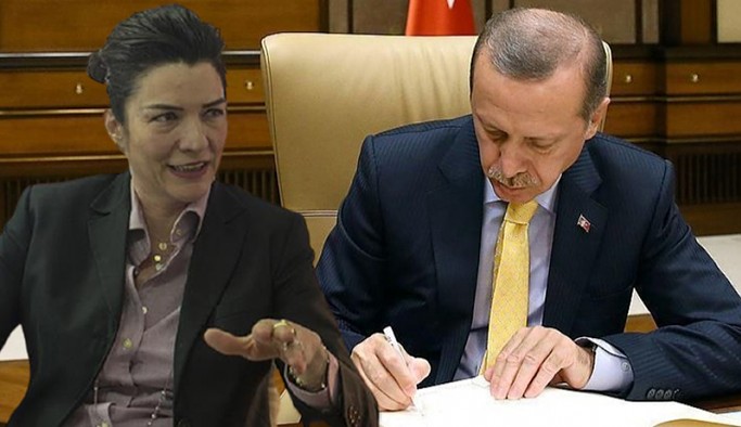 Büyükelçi Çamoğlu, vatandaşlık vermediği için mi merkeze çekildi?