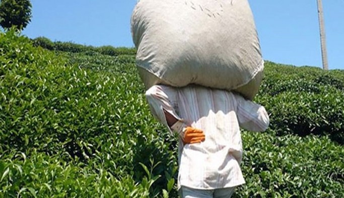 Çay fiyatına tepki: Giderleri karşılamaz