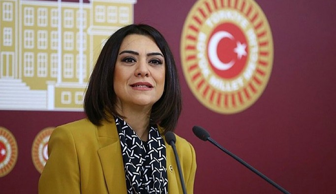 CHP'li Taşçıer'den bekçinin ‘Ben devletim’ sözlerine tepki