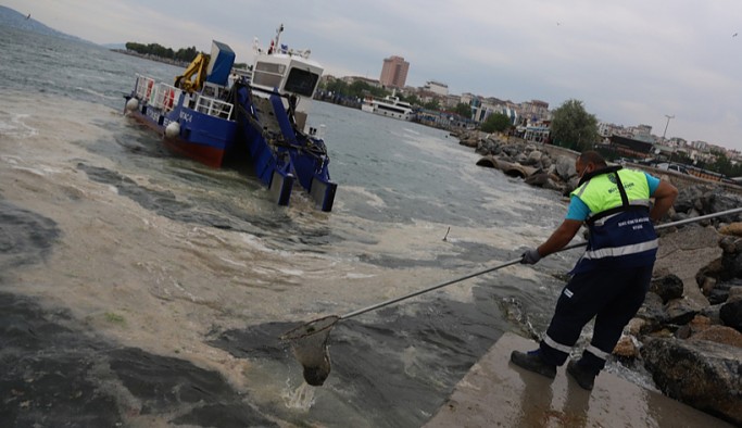 Kartal Belediyesi ve İBB deniz salyasına karşı çalışıyor: Tekrar olmayacağı anlamına gelmiyor