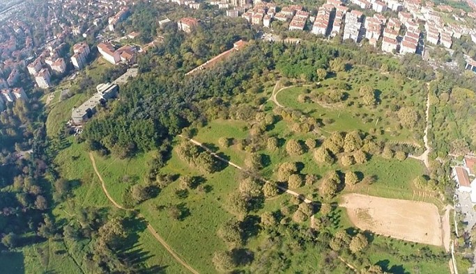 Validebağ Korusu'na yapılmak istenen millet bahçesi için korunması gereken kuş ve ağaç türü az gösterilmiş