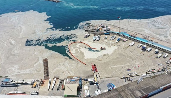 10 yıllık ihmalin sonucu: Marmara Denizi’ndeki müsilajı önleyecek yönetmelik yıllarca raflarda bekletilmiş