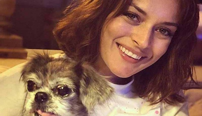 Ezgi Mola davasında yeni gelişme