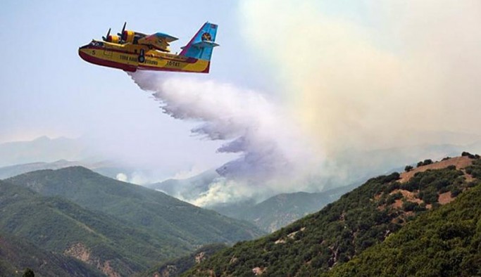 AKP'li başkan Dersim'deki orman yangını 'photoshop'la söndürdü