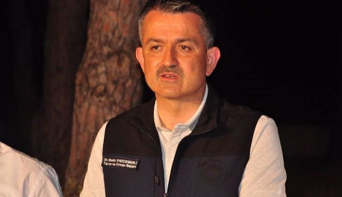 Bakan Pakdemirli: 107 orman yangınından 98'i kontrol altında, 9'u sürüyor