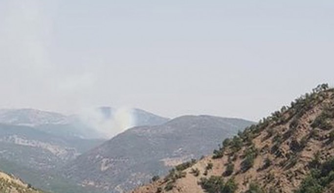 Dersim'deki yangın 8. günde
