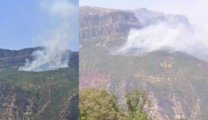 Siirt’in 2 ilçesinde orman yangını