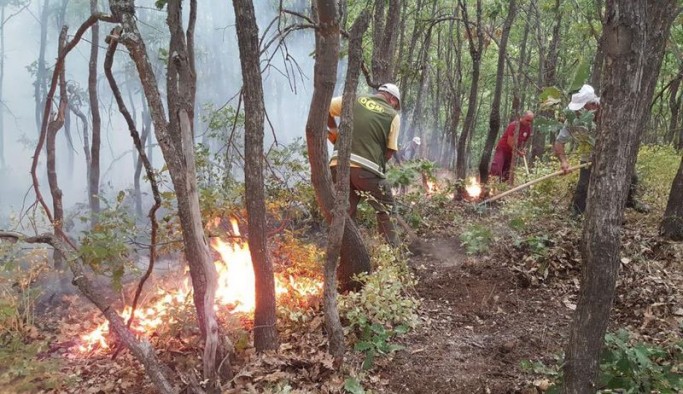 Yurt genelindeki 6 orman yangını kontrol altına alındı, Dersim ise yanmaya devam ediyor