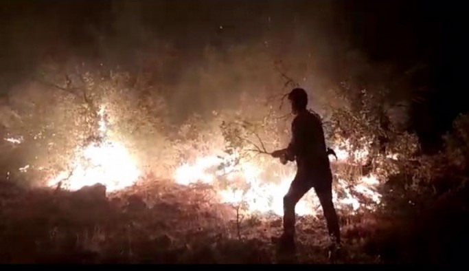 Lice’deki yangını yurttaşlar kendi çabalarıyla söndürdü