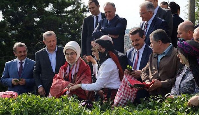 Cemil Çiçek'ten yargıçlara eleştiri: Çay toplamaya, zeytin toplamaya bile gidiyorlar